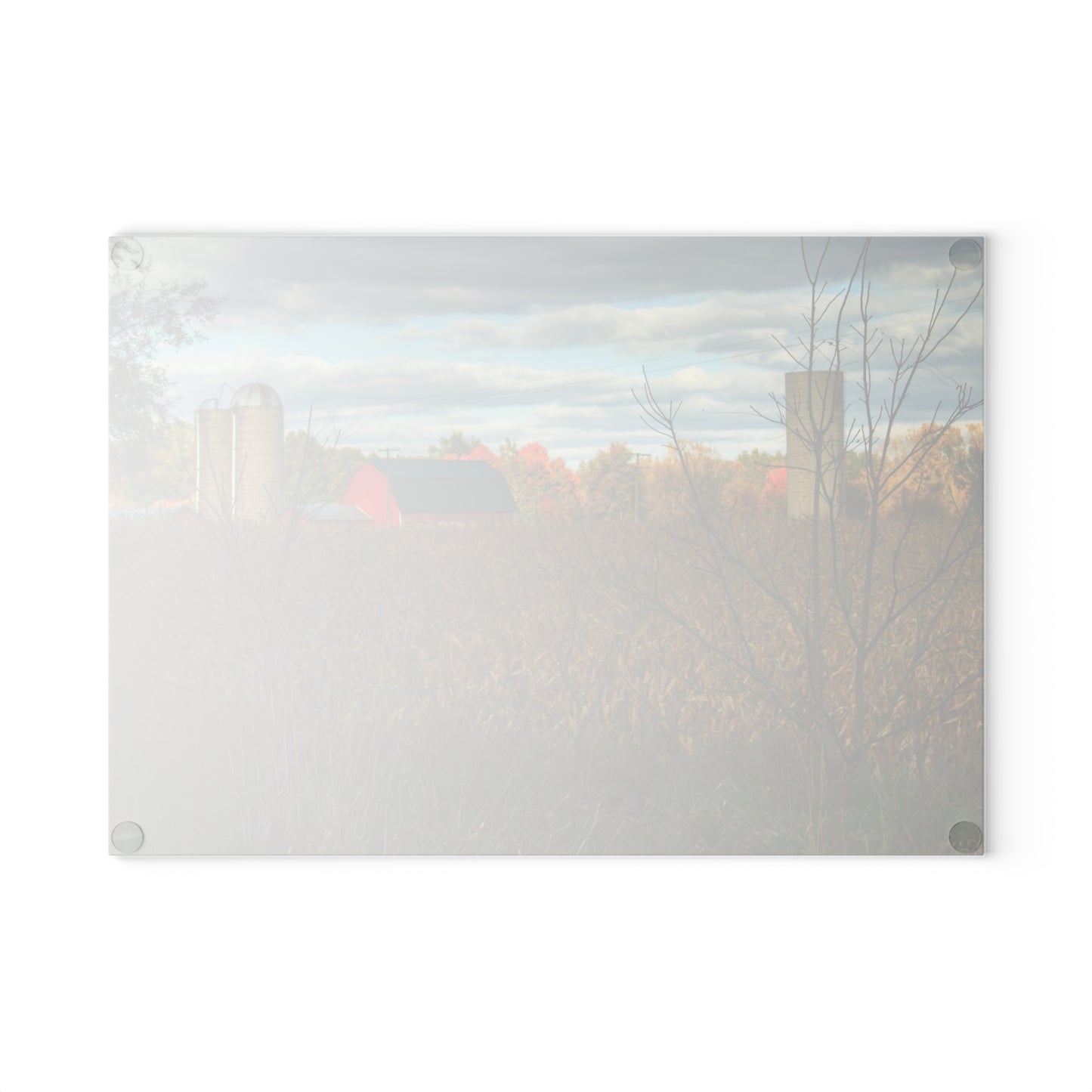 U R There Photography Beyond the Harvest Corn II Rustic Farmhouse Tempered-Glass Cutting Board