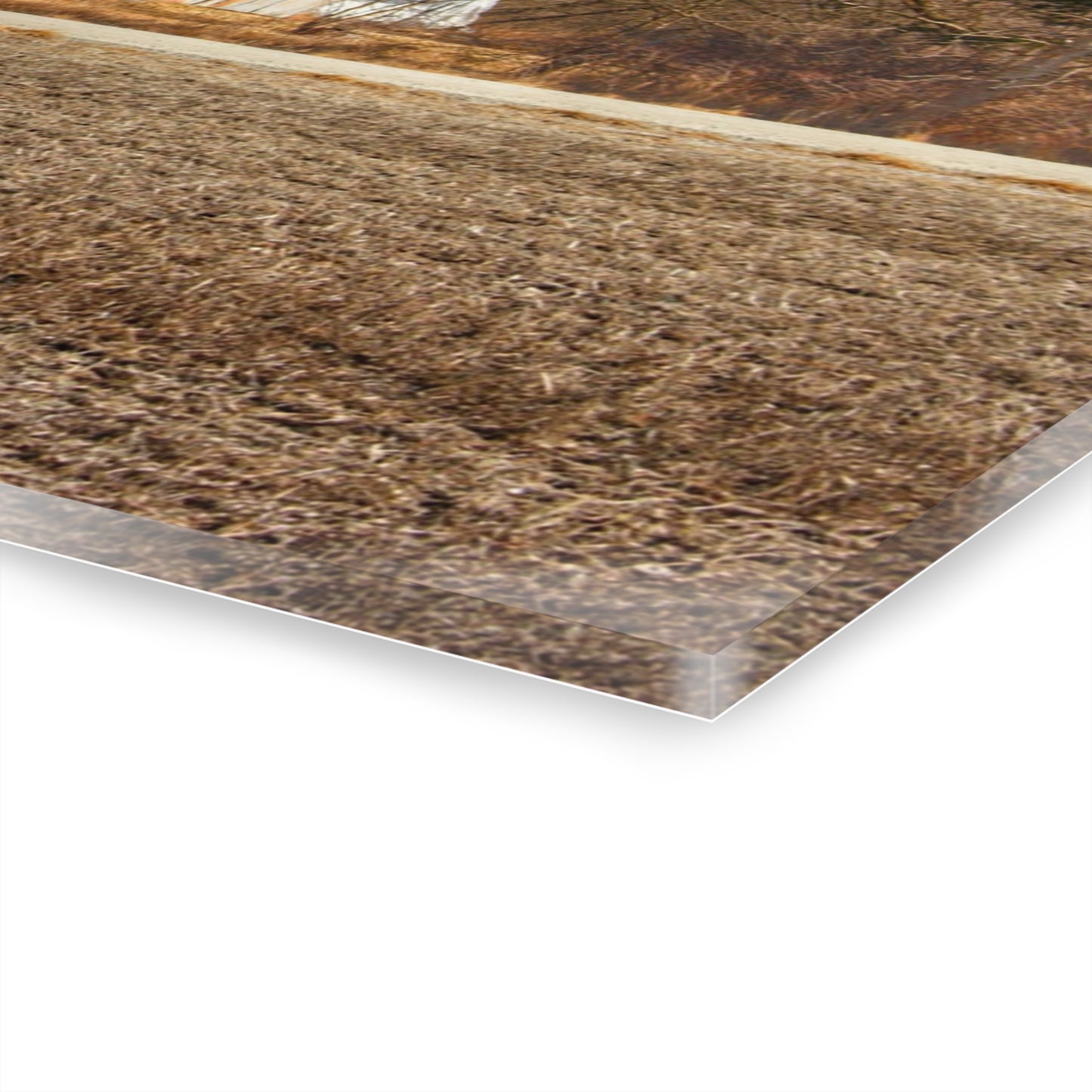 U R There Photography Indian Trail Rusted Reds I Rustic Farmhouse Acrylic Wall Print