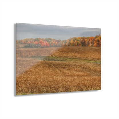 U R There Photography Colors of Fall on Lippincott Road Rustic Farmhouse Acrylic Wall Print