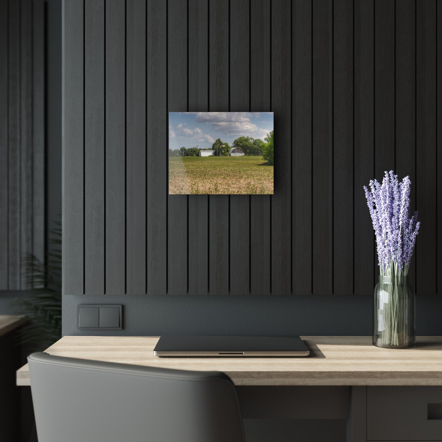 U R There Photography Willard Road White Rustic Farmhouse Acrylic Wall Print