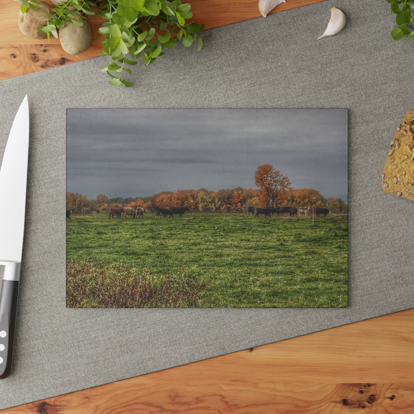 U R There Photography Oak Cows Rustic Farmhouse Tempered-Glass Cutting Board 8"x 11"