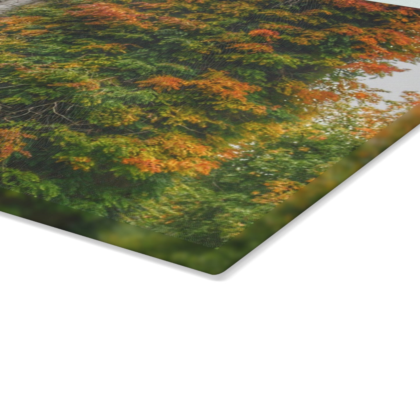 U R There Photography Ludwig Road Oxford Grey and Silo Rustic Farmhouse Tempered-Glass Cutting Board