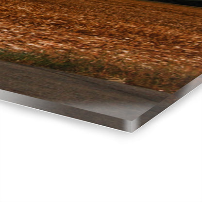 U R There Photography Garner Road Windmills Rustic Farmhouse Acrylic Wall Print