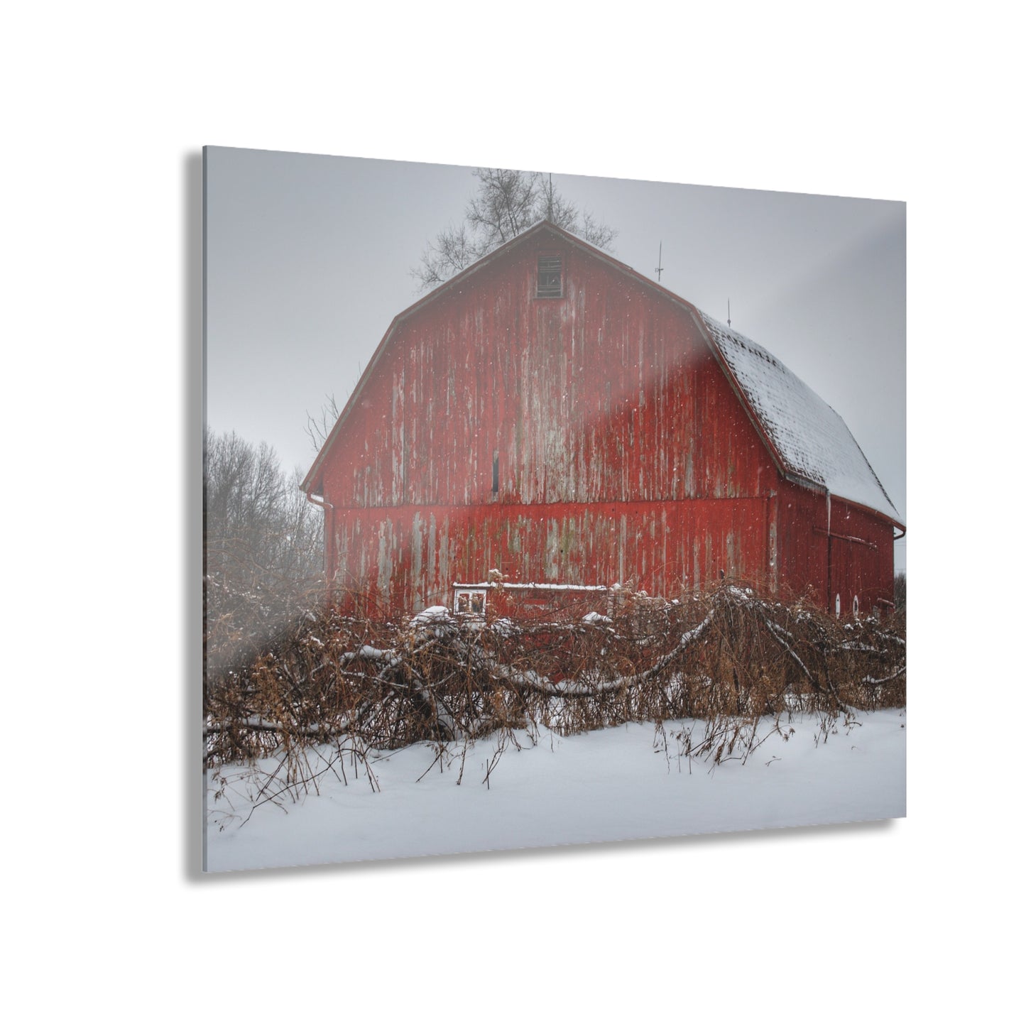 U R There Photography Hadley Road Barn at the Bend Rustic Farmhouse Acrylic Wall Print