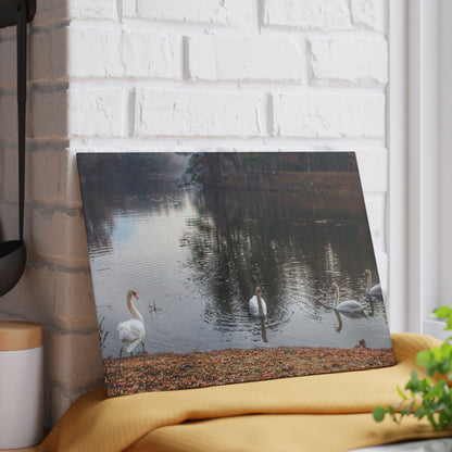 U R There Photography Swans of Duck Lake I Rustic Farmhouse Tempered-Glass Cutting Board