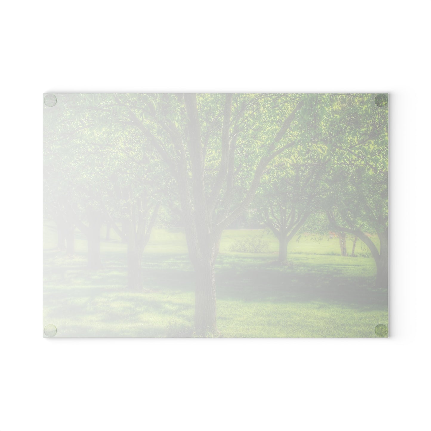 U R There Photography Spring Trees in Chartreuse Rustic Farmhouse Tempered-Glass Cutting Board