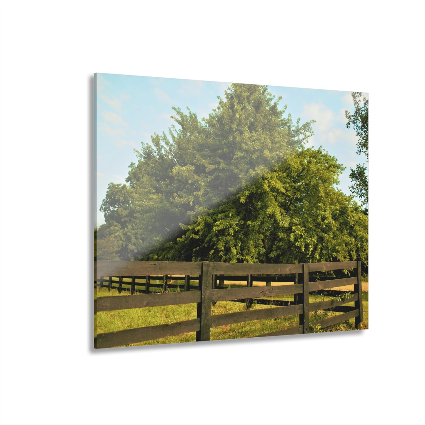 U R There Photography Country Fence and Tree in Metamora Rustic Farmhouse Acrylic Wall Print