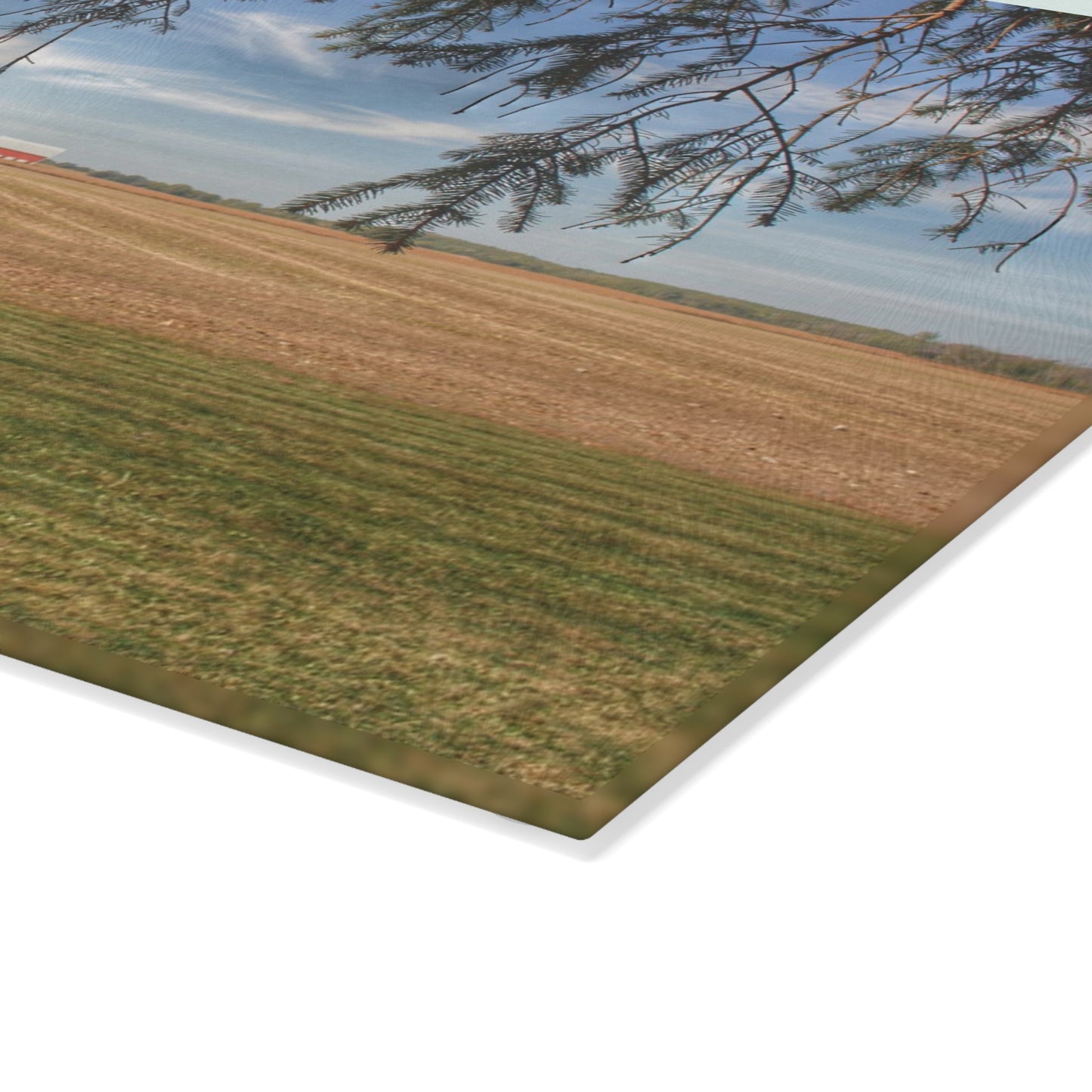 U R There Photography Cass City Farm Rustic Farmhouse Tempered-Glass Cutting Board
