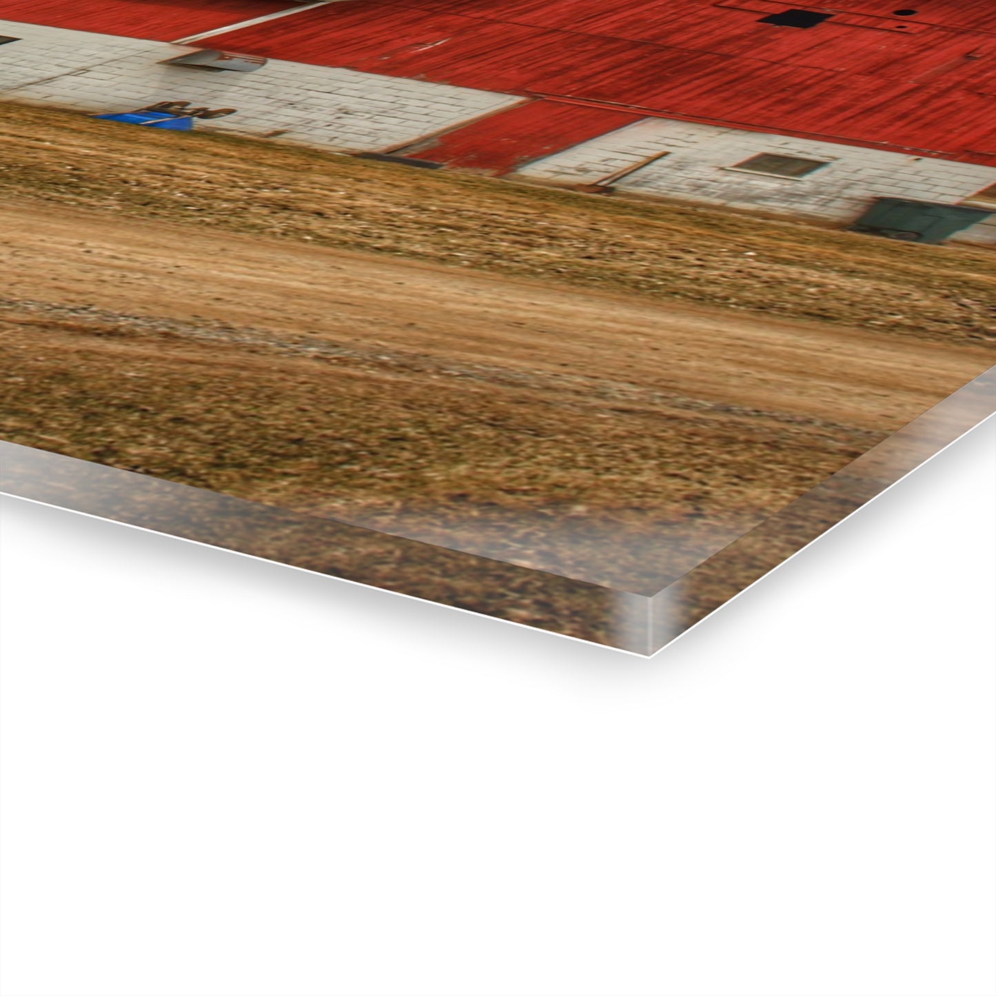 U R There Photography Hunters Creek Road Cow Barn II Rustic Farmhouse Acrylic Wall Print