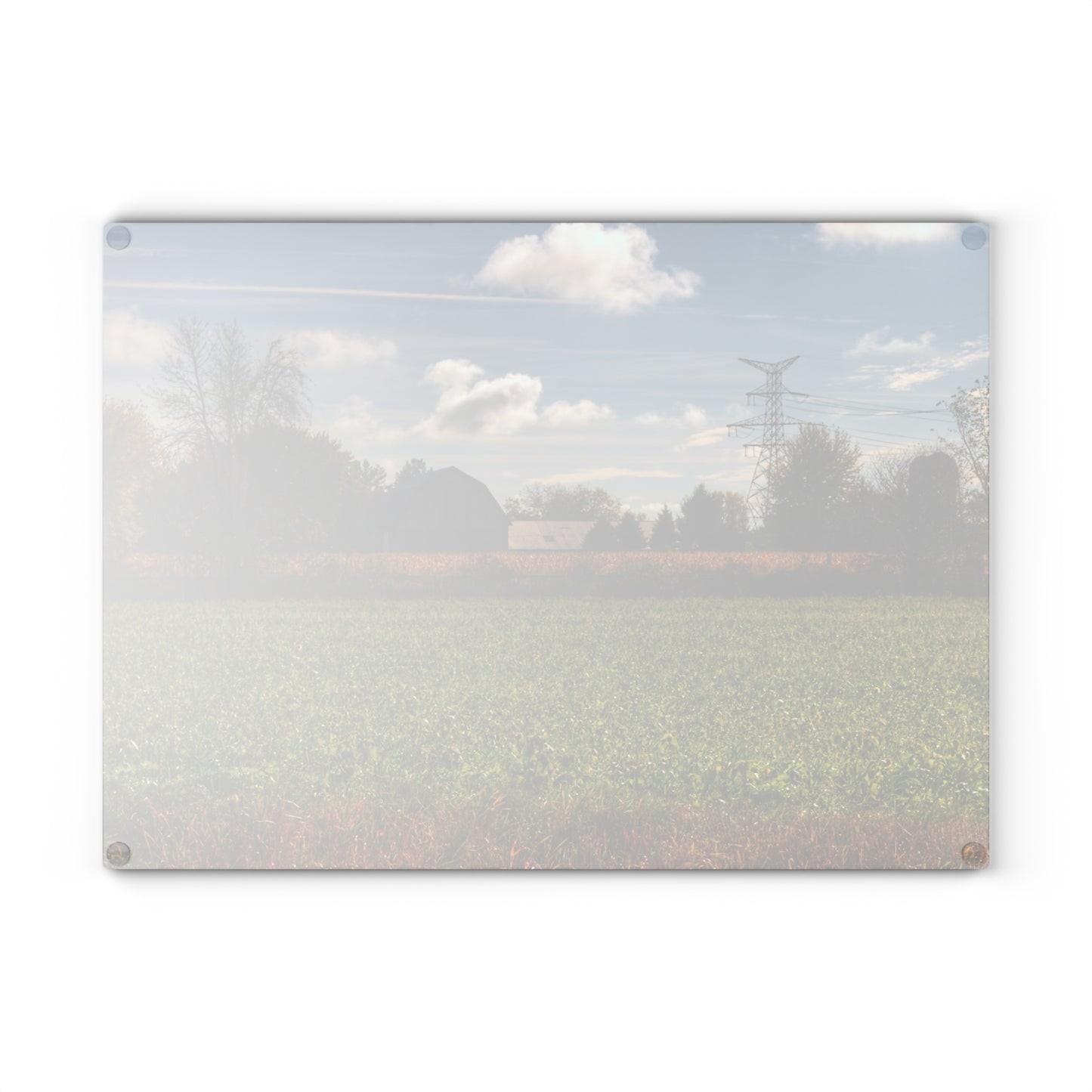 U R There Photography Wadsworth Road Grey Rustic Farmhouse Tempered-Glass Cutting Board
