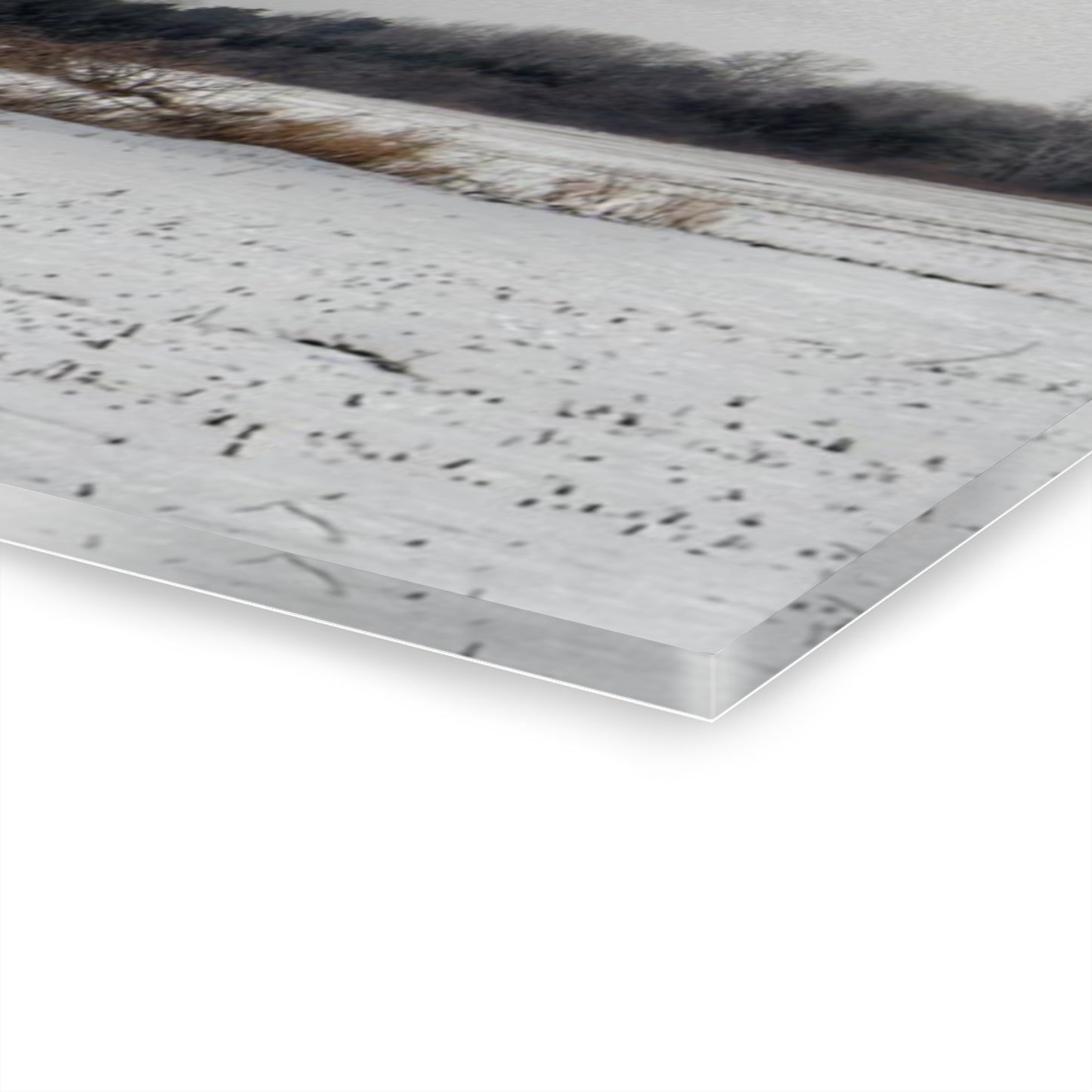 U R There Photography Babcock Road Grey Rustic Farmhouse Acrylic Wall Print