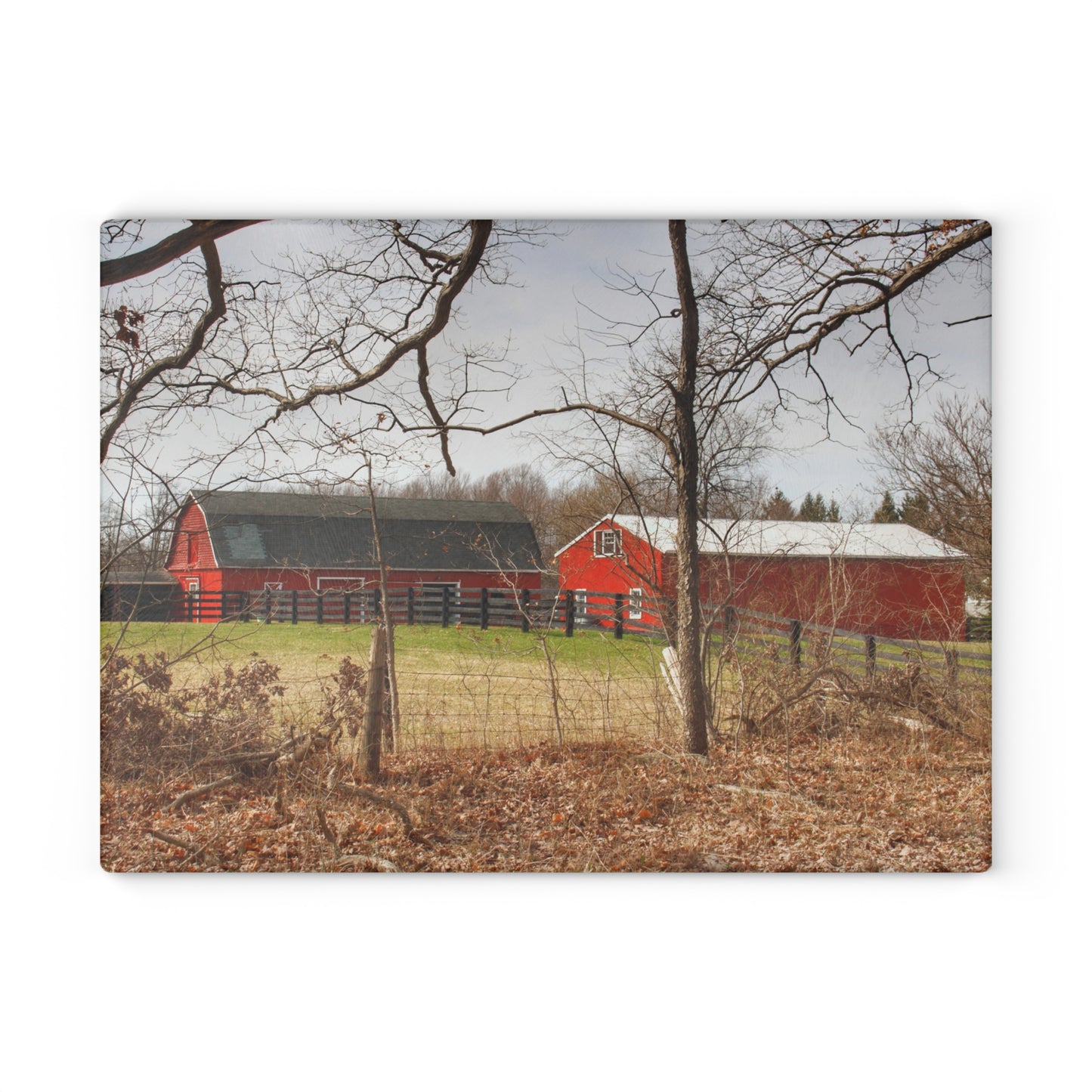 U R There Photography Hidden Hosner Reds Rustic Farmhouse Tempered-Glass Cutting Board