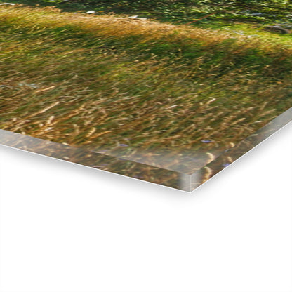 U R There Photography Lum Hidden Fieldstone Red Rustic Farmhouse Acrylic Wall Print