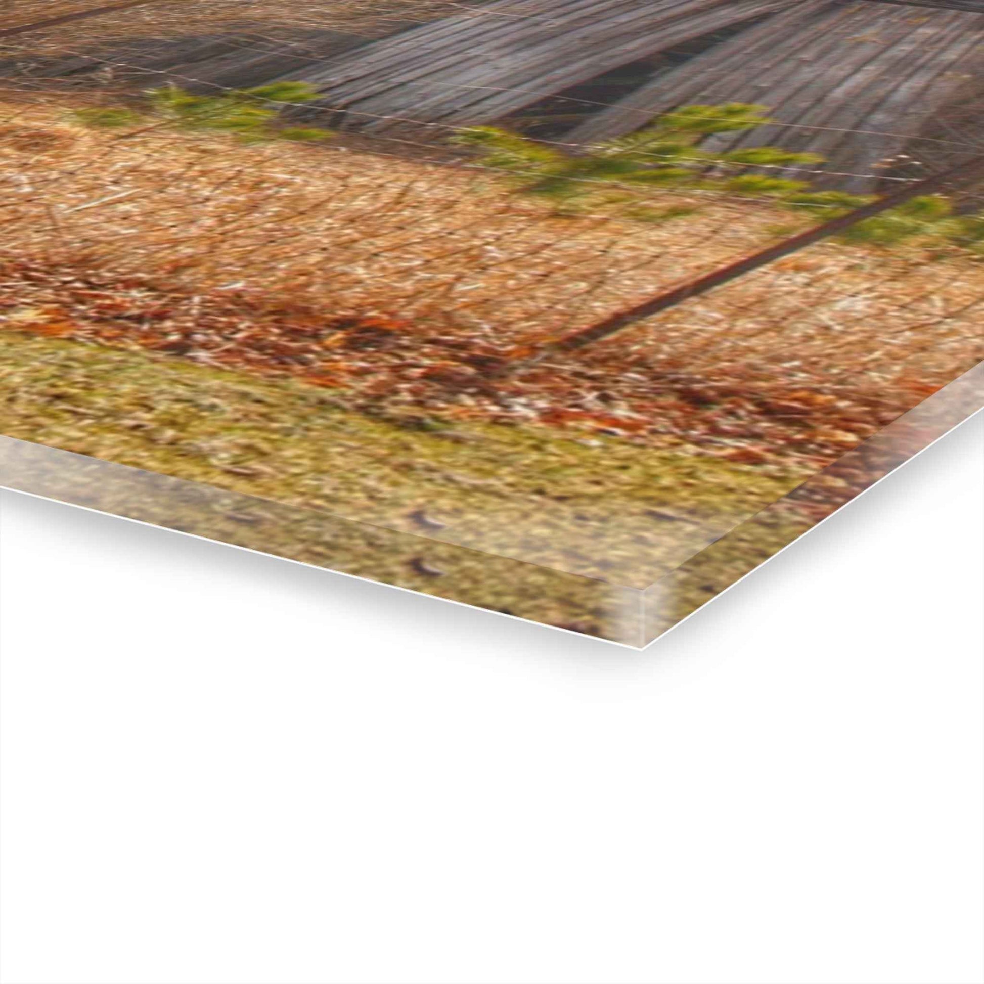 U R There Photography Leix Road Forgotten Grey I Rustic Farmhouse Acrylic Wall Print