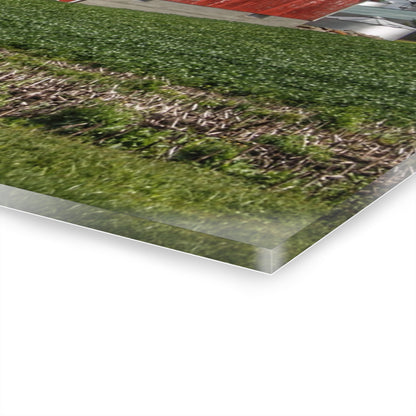 U R There Photography Haines Road Cornfield Reds Rustic Farmhouse Acrylic Wall Print