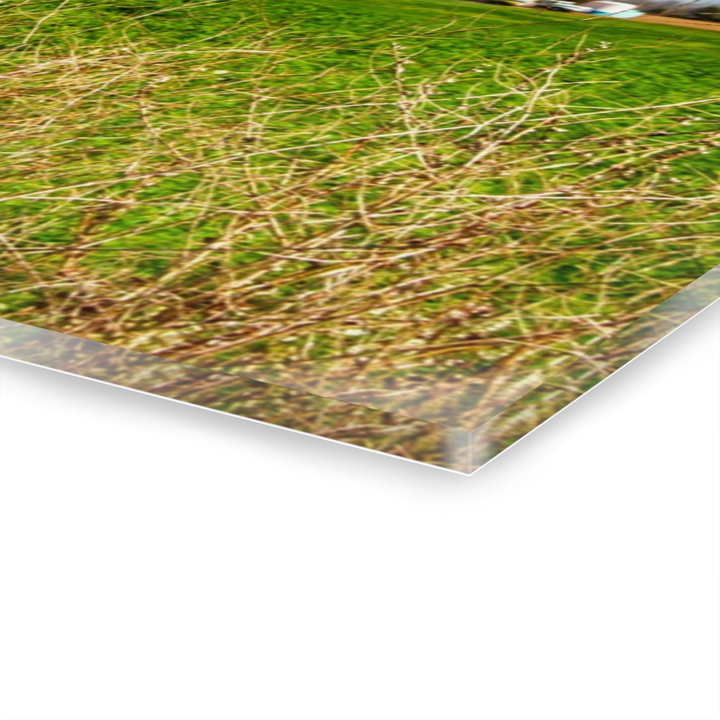 U R There Photography Pattison Road Farm Across the Field II Rustic Farmhouse Acrylic Wall Print