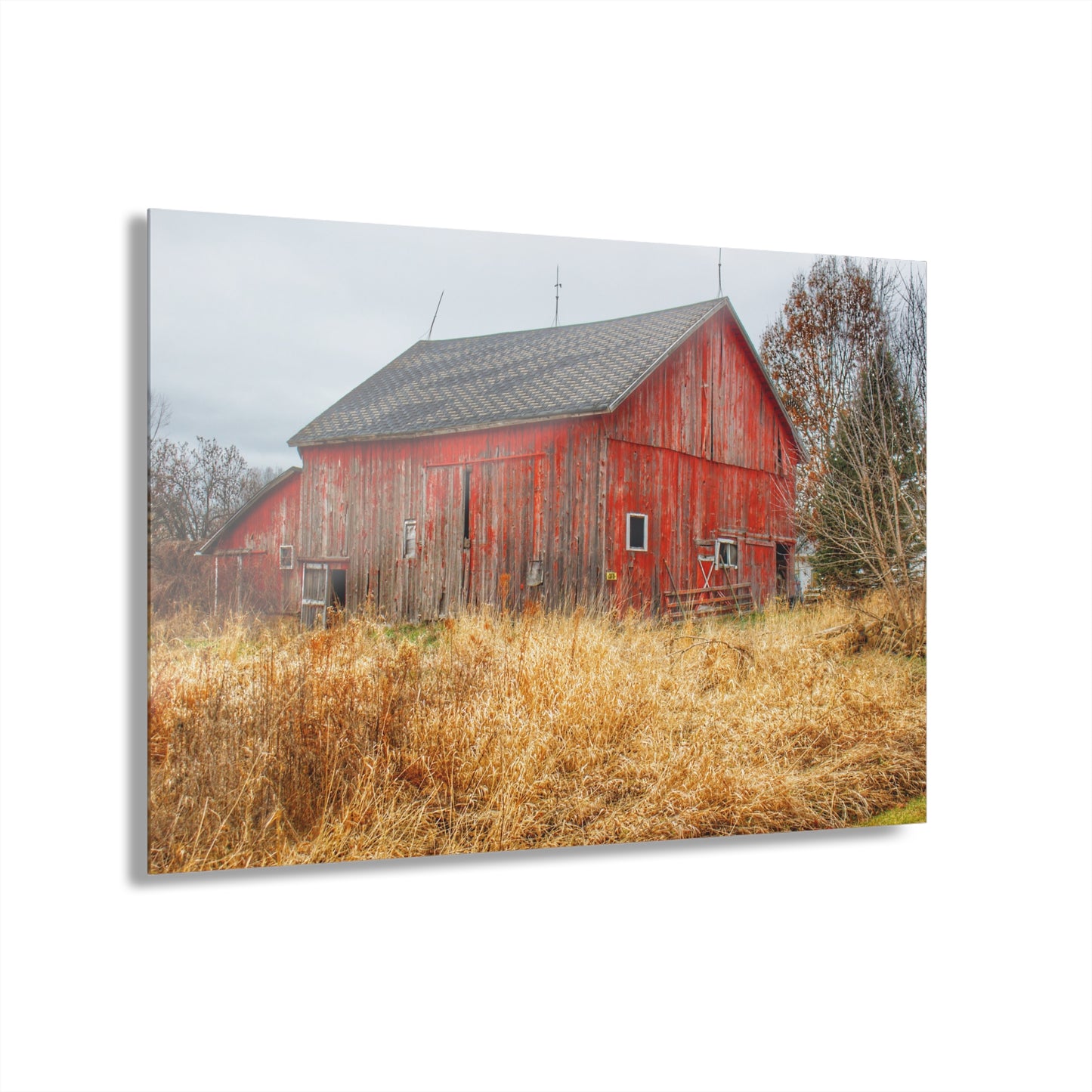 U R There Photography Harrington Road Red Rustic Farmhouse Acrylic Wall Print