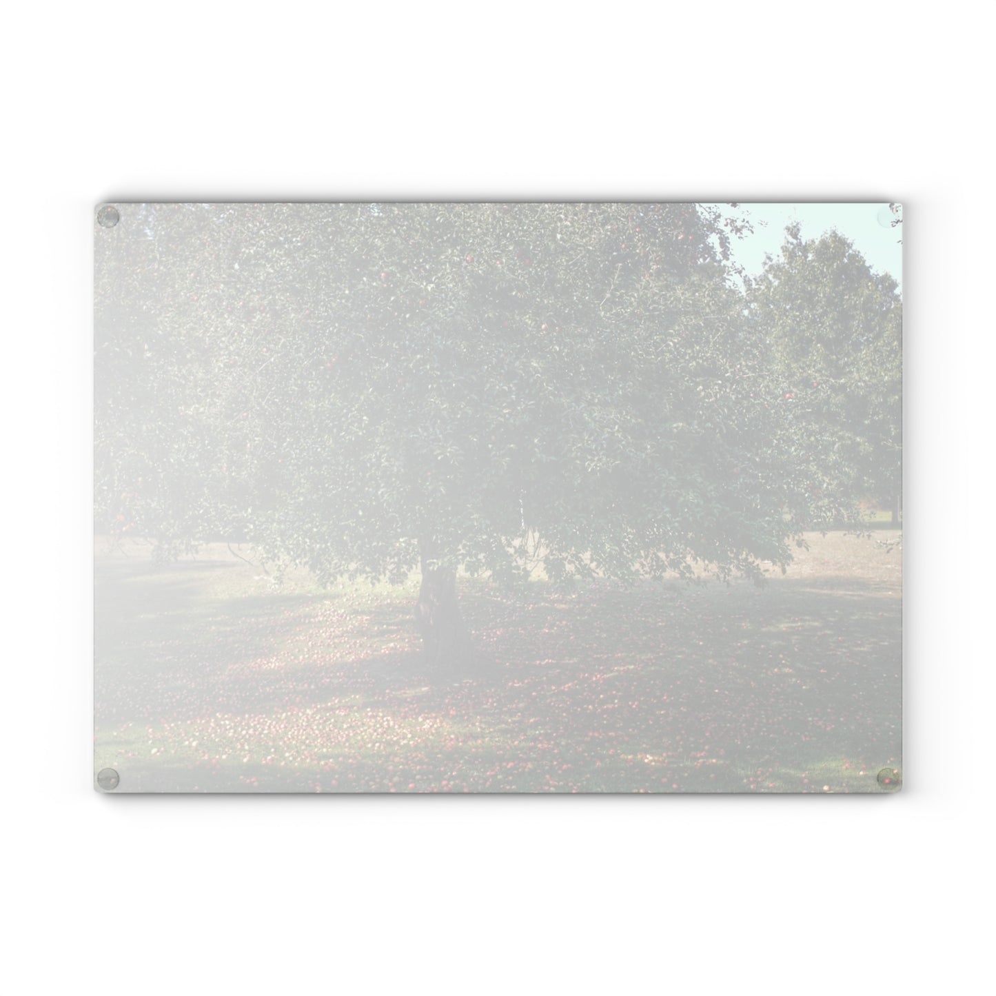 U R There Photography Apple Tree and Apples Rustic Farmhouse Tempered-Glass Cutting Board