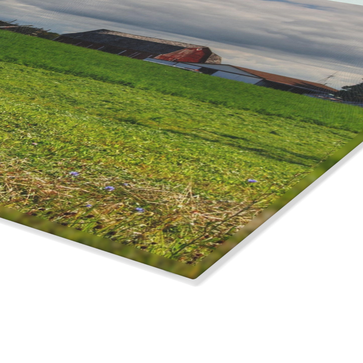 U R There Photography Across the Field in Kingtson Rustic Farmhouse Tempered-Glass Cutting Board