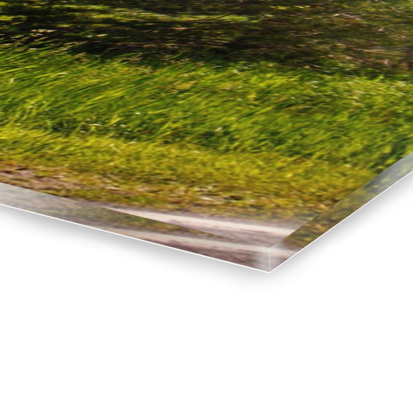 U R There Photography Hegal Road Red Rustic Farmhouse Acrylic Wall Print