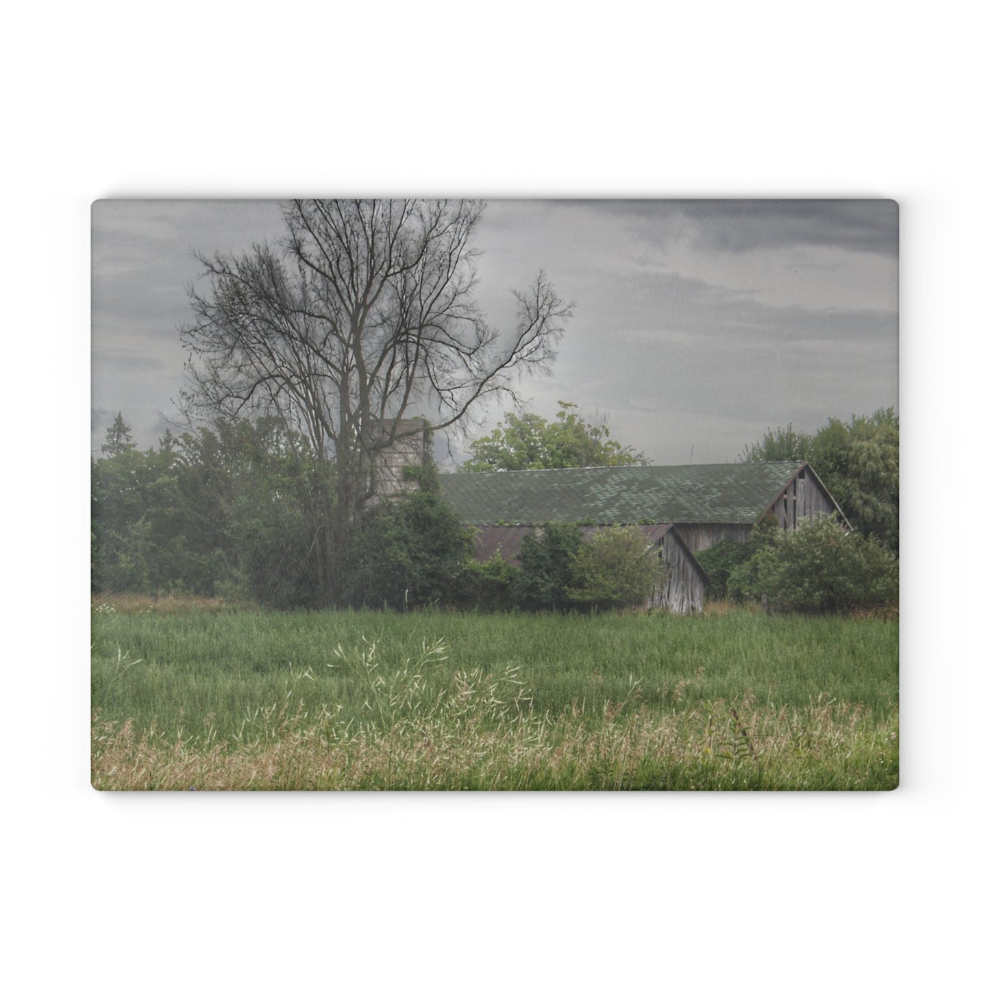 U R There Photography Wilder Road Grey III Rustic Farmhouse Tempered-Glass Cutting Board