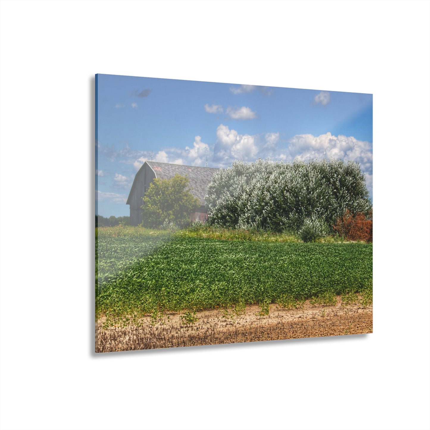 U R There Photography Lake Road Grey Rustic Farmhouse Acrylic Wall Print