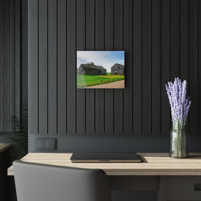 U R There Photography Caro Road Twin Greys I Rustic Farmhouse Acrylic Wall Print