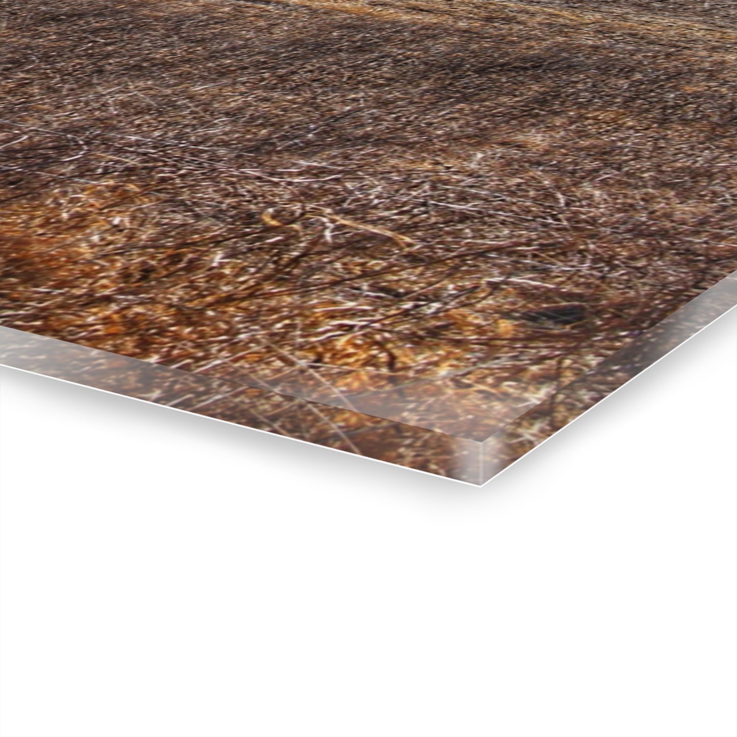 U R There Photography Marathon Haybarn on the Hill I Rustic Farmhouse Acrylic Wall Print