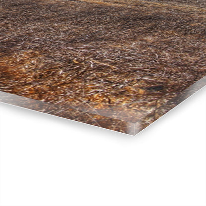 U R There Photography Marathon Haybarn on the Hill I Rustic Farmhouse Acrylic Wall Print