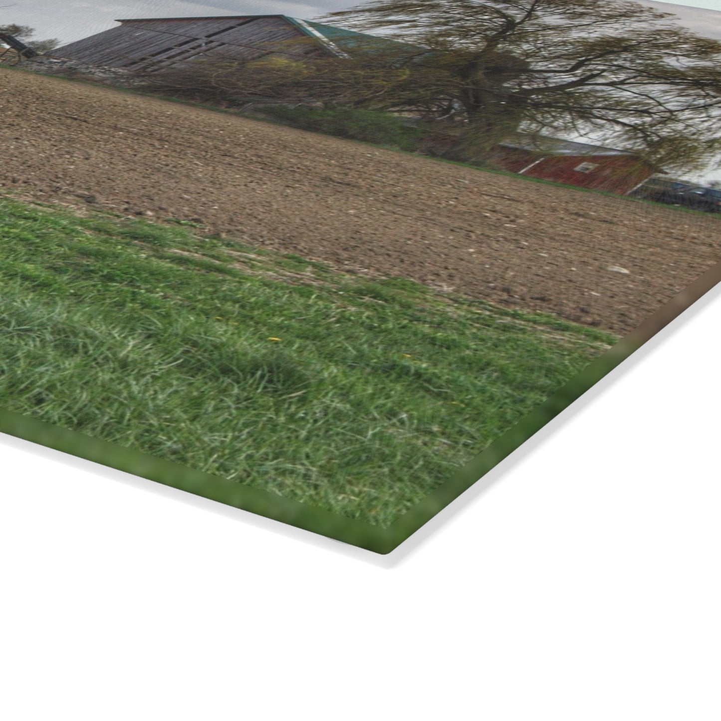 U R There Photography Cedar Creek Road Grey Rustic Farmhouse Tempered-Glass Cutting Board