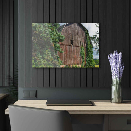 U R There Photography North Branch Ivy Grey I Rustic Farmhouse Acrylic Wall Print