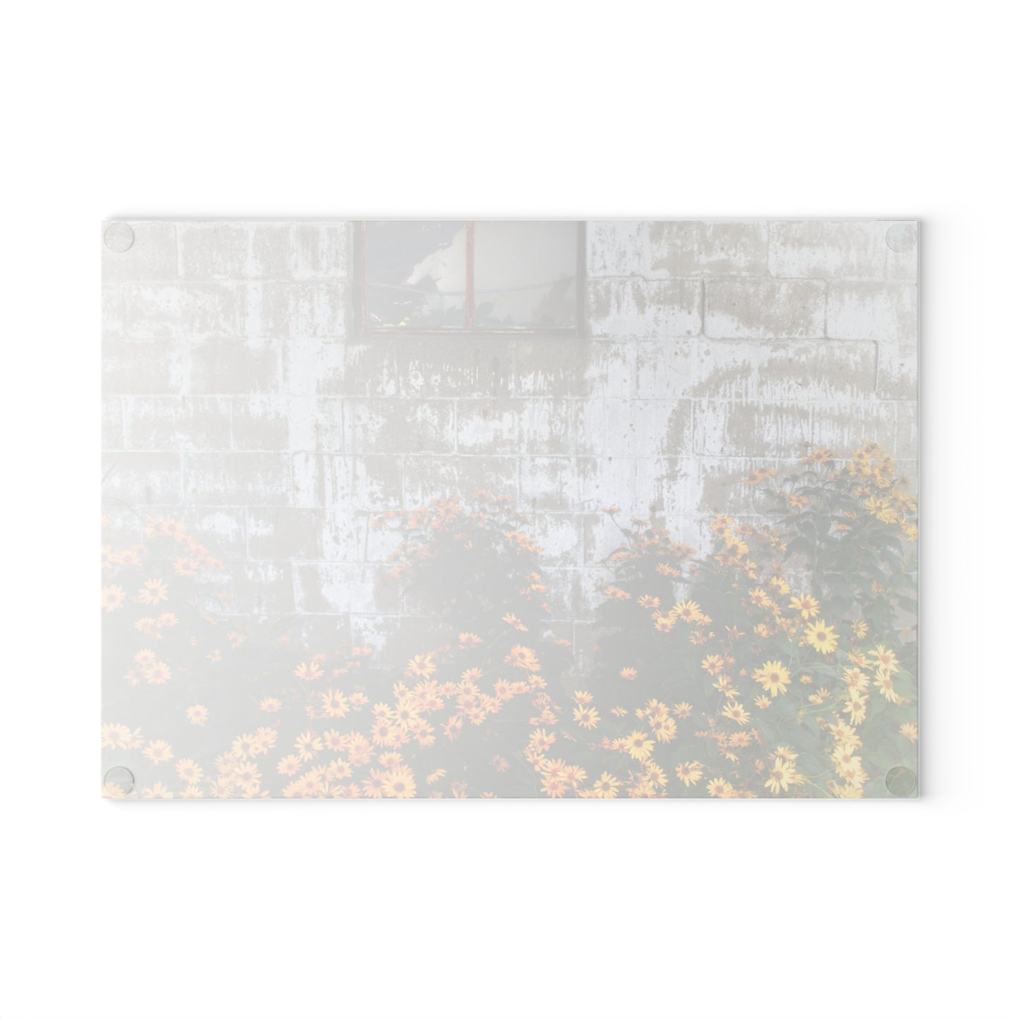 U R There Photography Golden Blooms on McDowell Rustic Farmhouse Tempered-Glass Cutting Board