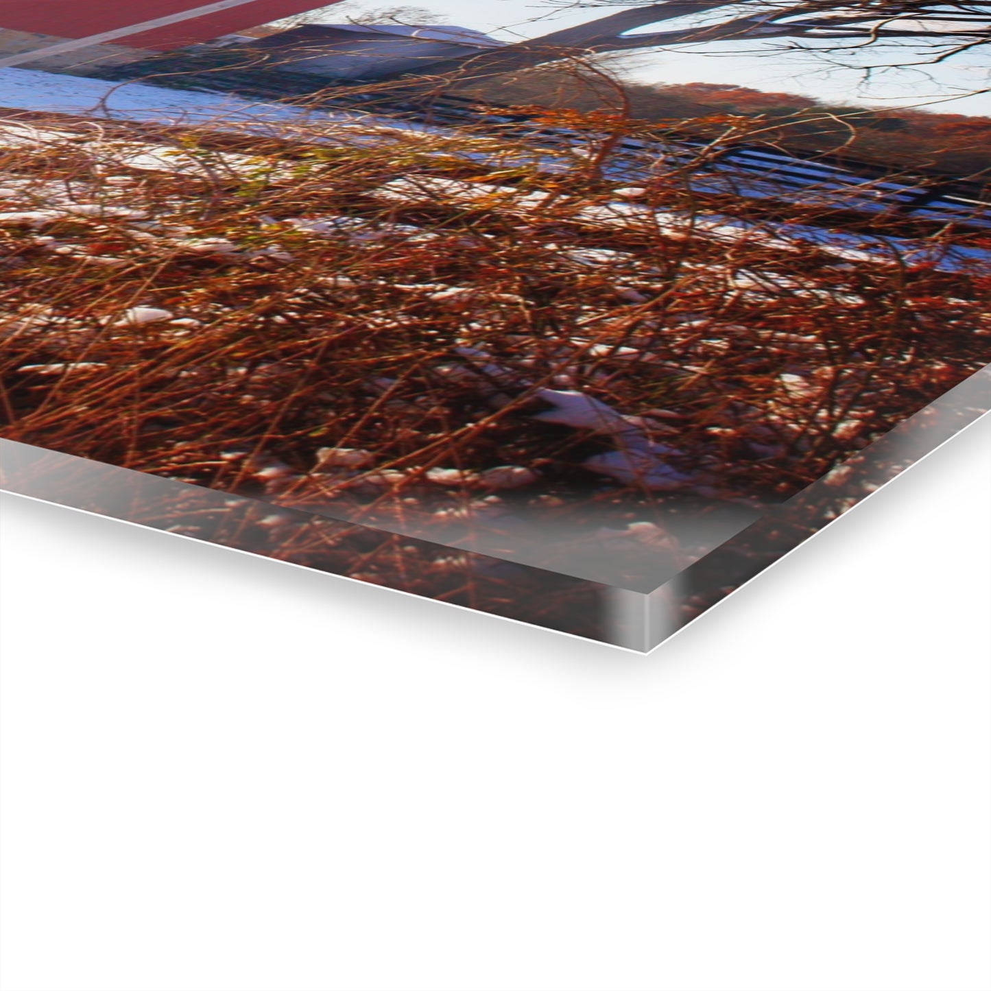 U R There Photography Groveland Red Rustic Farmhouse Acrylic Wall Print