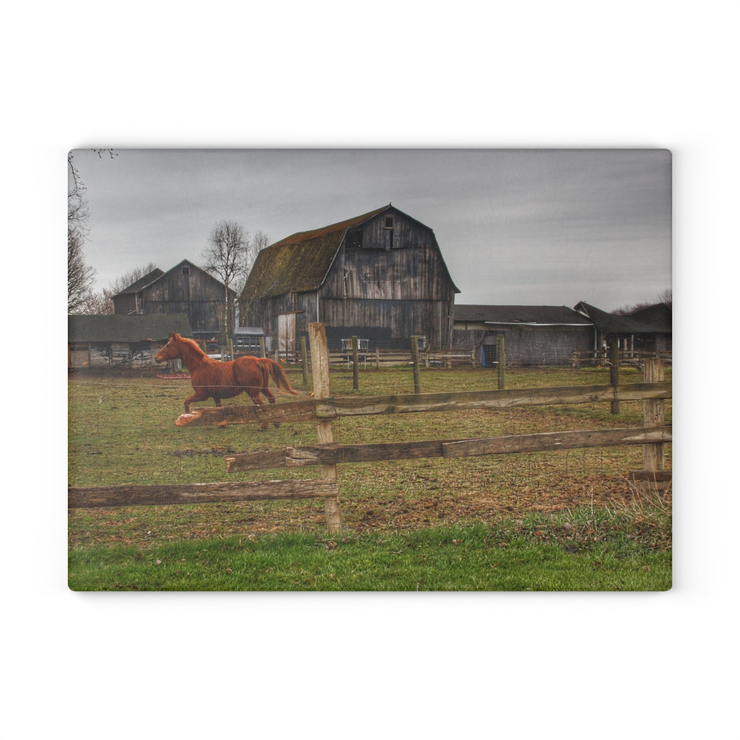 U R There Photography South Summers Road Old Grey and Caramel III Rustic Farmhouse Tempered-Glass Cutting Board