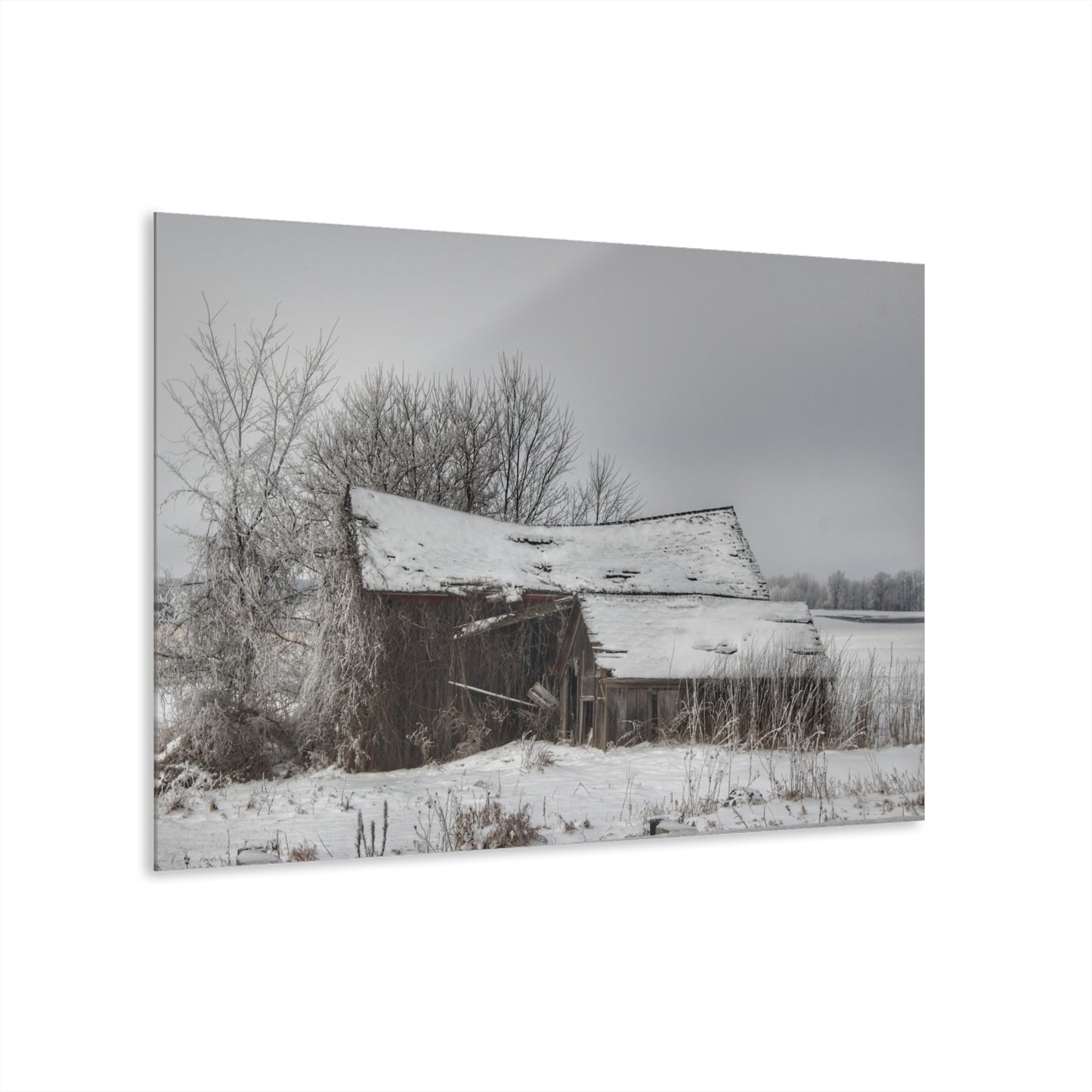 U R There Photography Grey Shacks of Mayville Rustic Farmhouse Acrylic Wall Print