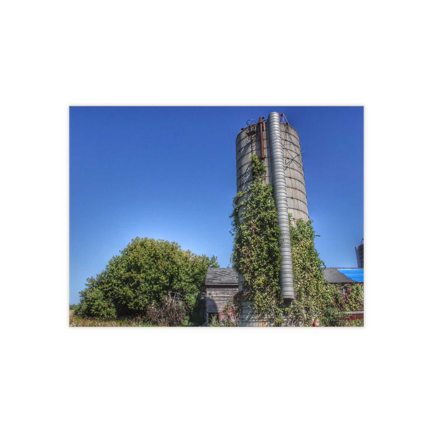 U R There Photography Bordman Road Old Grey and Silo I Rustic Farmhouse Decorative Ceramic Tile