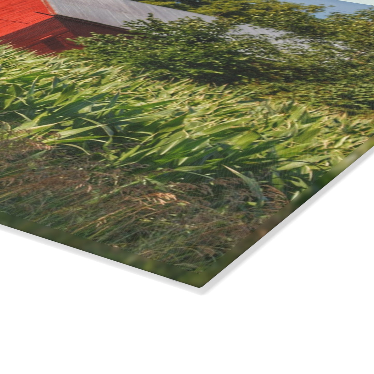 U R There Photography Willard Road Red III Rustic Farmhouse Tempered-Glass Cutting Board