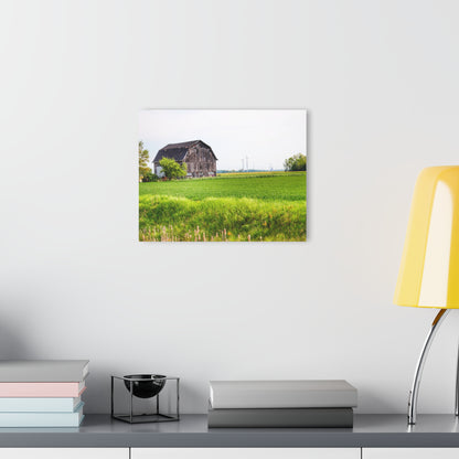 U R There Photography North Graf Road Old Grey Rustic Farmhouse Acrylic Wall Print