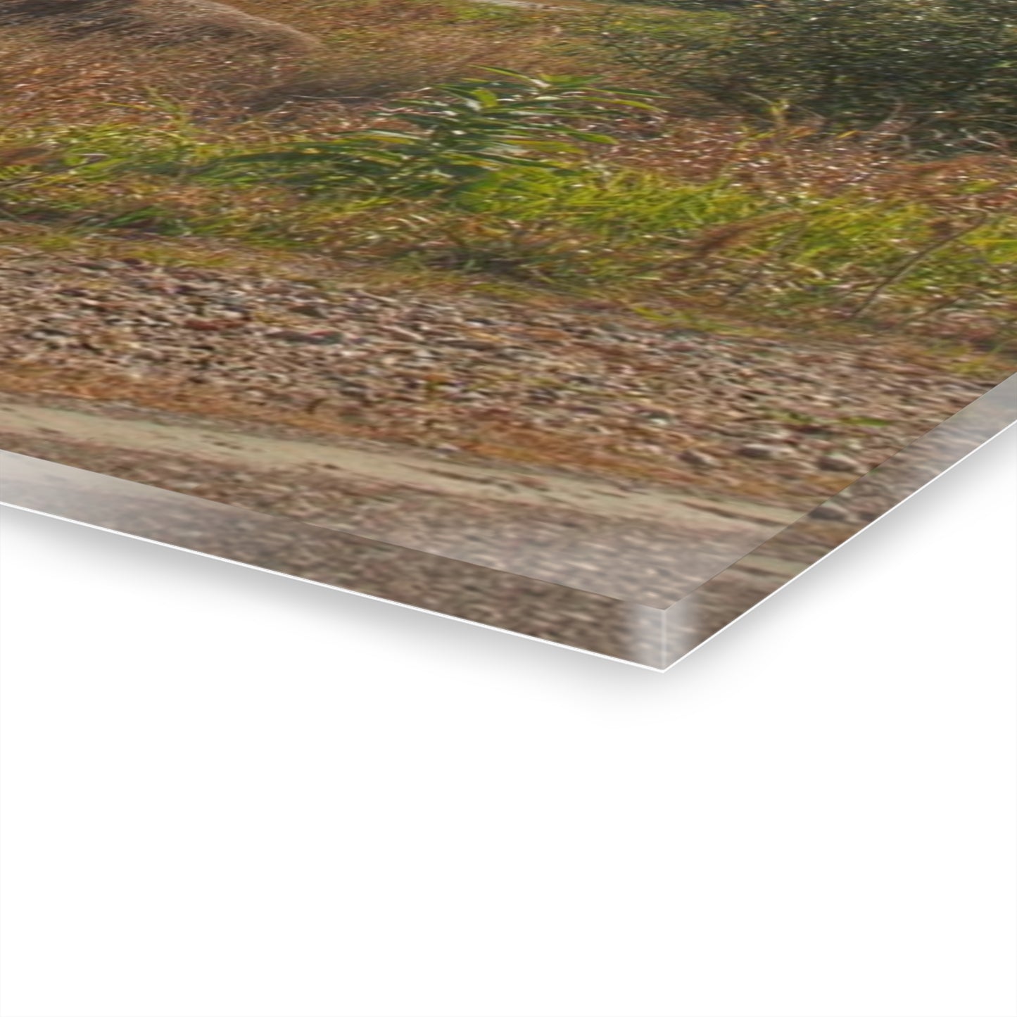 U R There Photography Hurds Corner Road Grey Shack Rustic Farmhouse Acrylic Wall Print