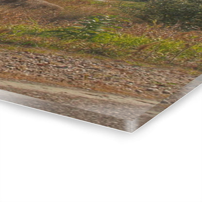 U R There Photography Hurds Corner Road Grey Shack Rustic Farmhouse Acrylic Wall Print