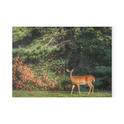 U R There Photography Mitchell Road Doe Rustic Farmhouse Tempered-Glass Cutting Board