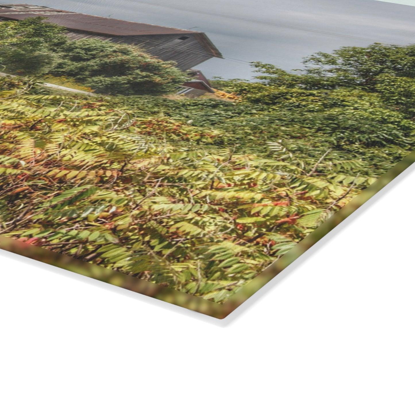 U R There Photography Van Dyke Grey Rustic Farmhouse Tempered-Glass Cutting Board