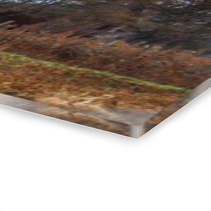 U R There Photography Dryden Road Reds and Playscape Rustic Farmhouse Acrylic Wall Print