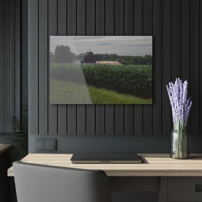 U R There Photography Above the Corn on Piersonville Road II Rustic Farmhouse Acrylic Wall Print