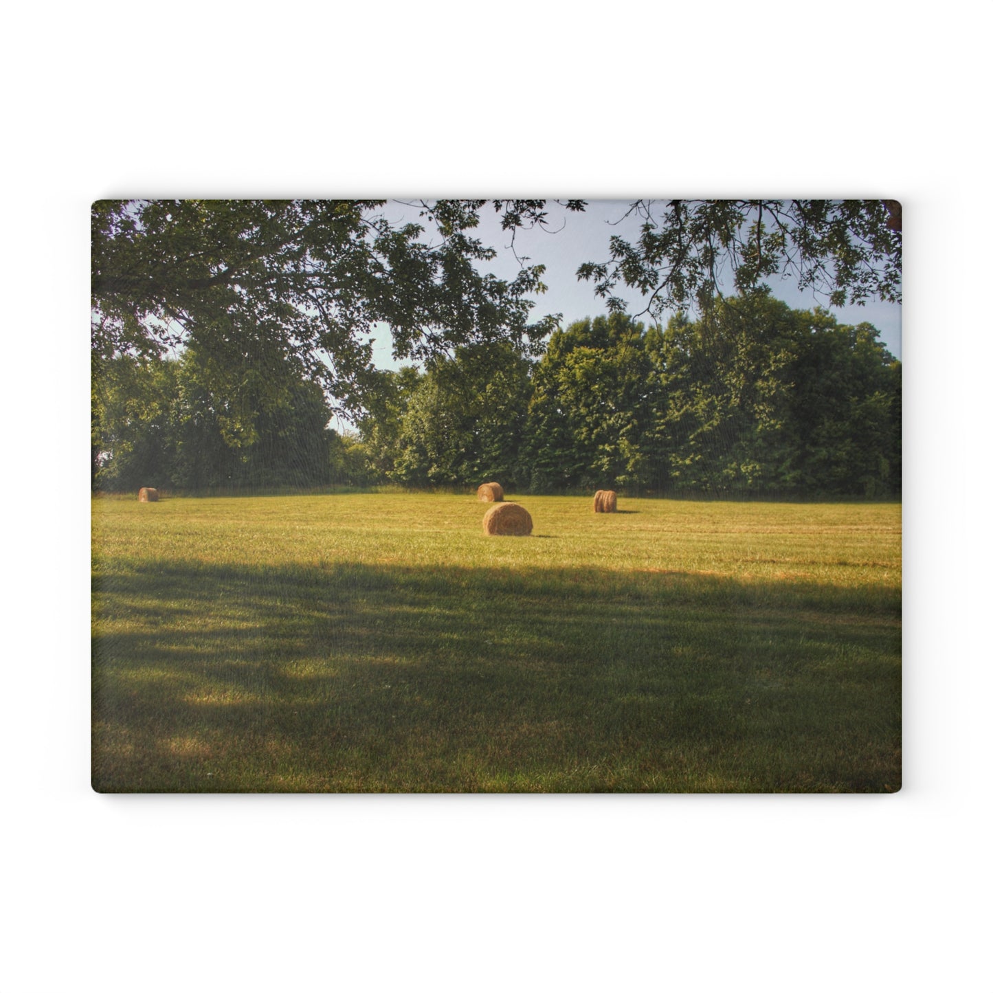 Barn Boutique Rustic Tempered-Glass Cutting Board| Summer Hay Bales I