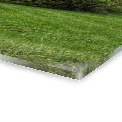 U R There Photography Dequindre Road Grey III Rustic Farmhouse Acrylic Wall Print