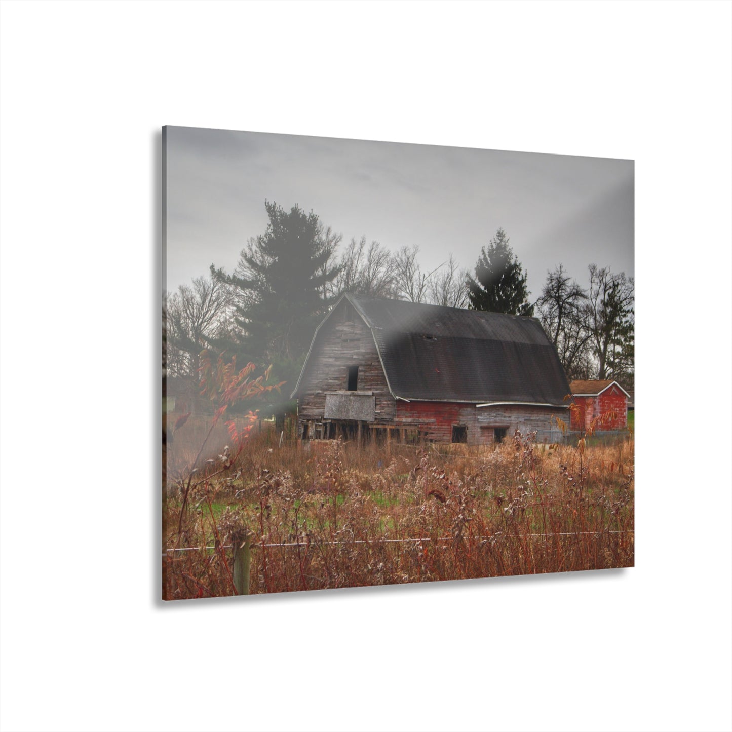 U R There Photography Field Grey and Little Red Rustic Farmhouse Acrylic Wall Print
