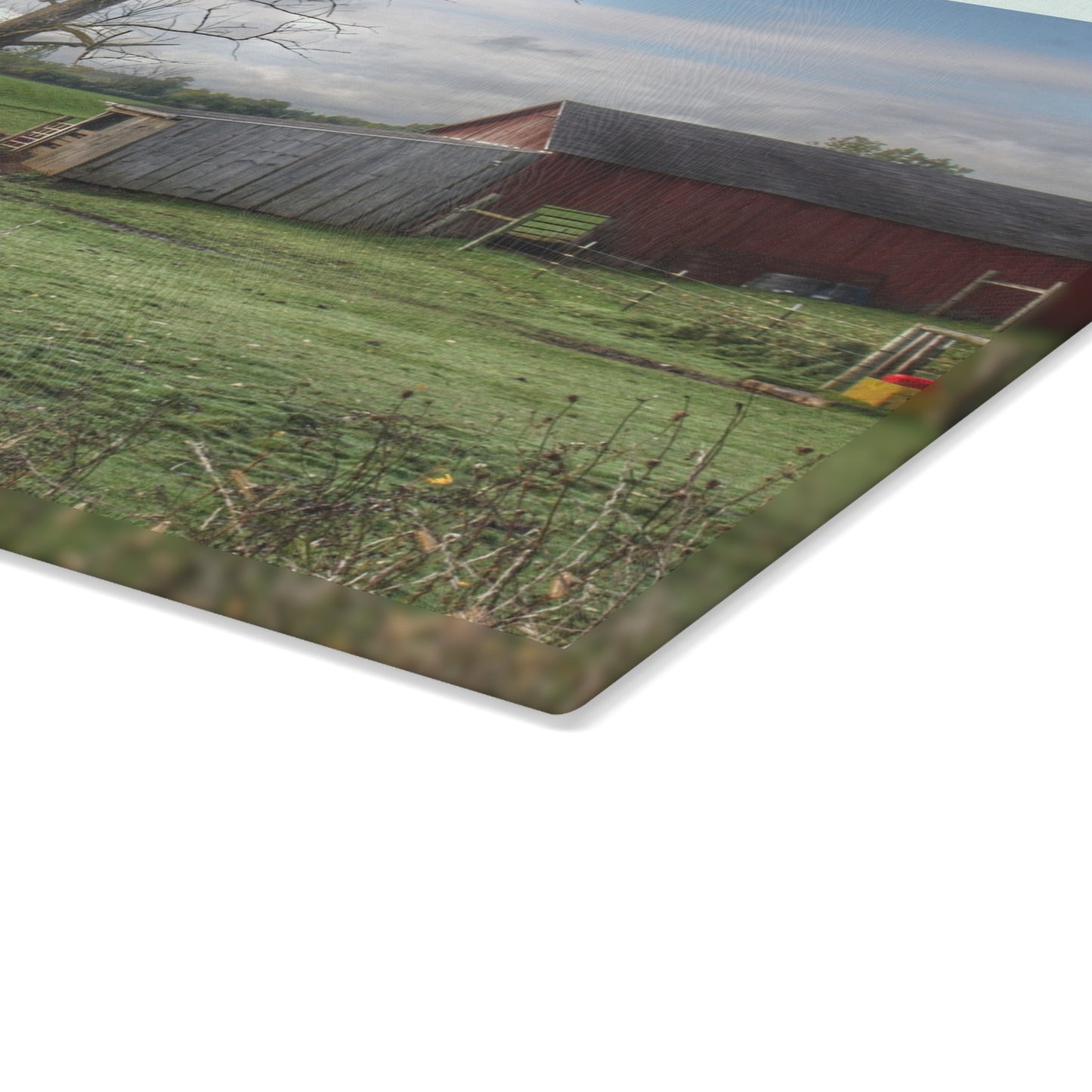 U R There Photography West Oregon Road Hidden Red III Rustic Farmhouse Tempered-Glass Cutting Board