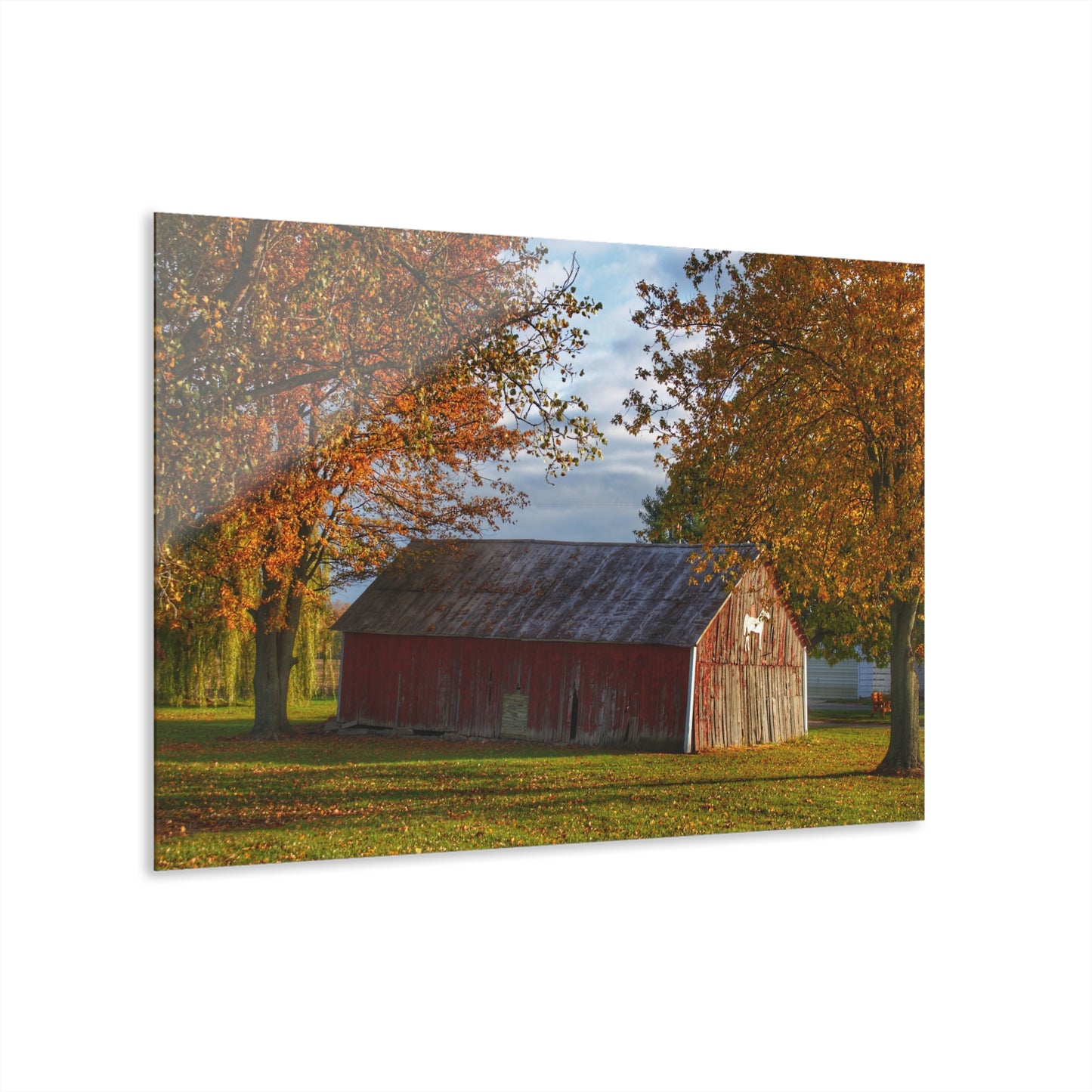 U R There Photography Marlette Road Fall Red Rustic Farmhouse Acrylic Wall Print