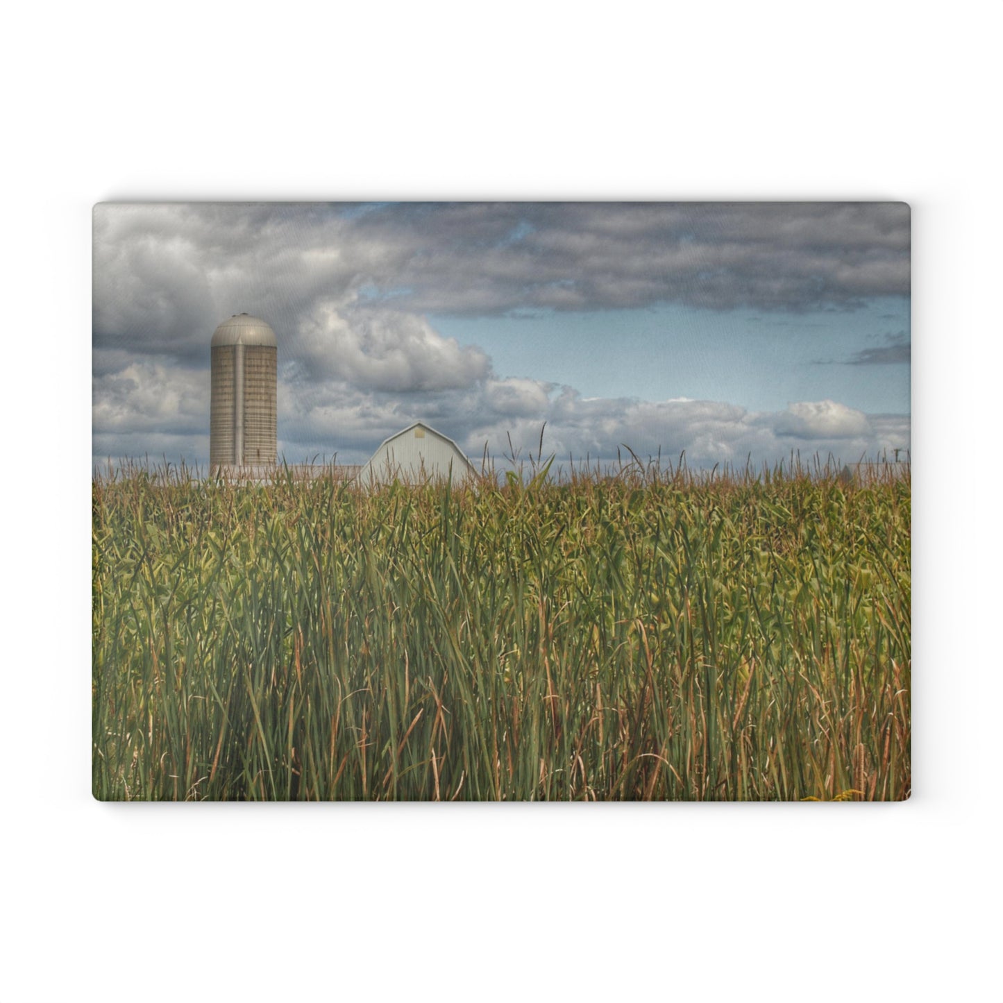U R There Photography White Barn Overlooking Cornfield Rustic Farmhouse Tempered-Glass Cutting Board